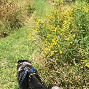 Meet your Posher, Danielle